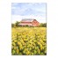 Barn And Yellow Flower Field 20x30 Canvas Wall Art