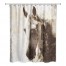 Vintage Horse 71x74 Shower Curtain