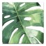 Large Palm Wall Art