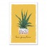 Love Grows Wall Art