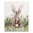 Bunny in Field  16x20 Canvas Wall Art