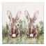 Bunny in Rough Field    16x20 Canvas Wall Art
