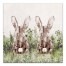 Bunny Field 30x30 Canvas Wall Art