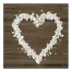 Eucalyptus Heart 20x20 Canvas Wall Art