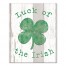 Luck Irish Clover  16x20 Canvas Wall Art