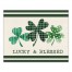 Clover Pattern  20x16 Canvas Wall Art