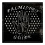 Palmistry Guide 12x12 Canvas Wall Art