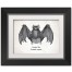 Bat 14X11 Black Framed Print Under Glass
