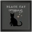 Black Cat  16x16 Black Framed Print Under Glass