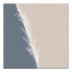 Neutral Pampas Duo 12x12 Canvas Wall Art