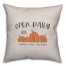 Hello Fall Pumpkin 20x20 Spun Poly Pillow