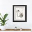 White Harvest 11x14 Black Framed Print Under Glass
