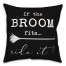 The Broom Fits Pillow