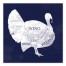 Turkey Anatomy 16x16 Canvas Wall Art