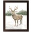 Winter Deer 11x14 Black Framed Print Under Glass