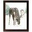Winter Moose 11x14 Black Framed Print Under Glass