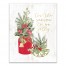 Season Jolly Plants 16x20 Canvas Wall Art
