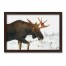 Moose In The Snow 30X20 Black Framed Print Under Glass
