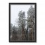 Dusty Trees 20x30 Black Framed Print Under Glass