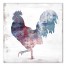 Patriotic Rooster 24x24 Canvas Wall Art