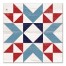Patriotic Barn Star 20x20 Canvas Wall Art