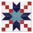 Patriotic Starburst 20x20 Canvas Wall Art