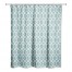 Lattice Link  Shower Curtain