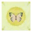 Butterfly Circle  Textiles