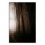 Creepy Forrest Right 20x30 Canvas Wall Art