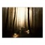 Spooky Forrest Lantern Path 18x24 Canvas Wall Art