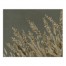 Gold Painted Wheat Grass On Green 24x30 Canvas Wall Art