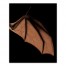Bat Ring Right 24x30 Canvas Wall Art