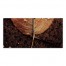 Split Brown Leaf Bottom 10x20 Canvas Wall Art