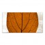 Split Fall Leaf Middle 10x20 Canvas Wall Art