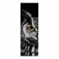 Creepy Halloween Owl Dark 12x36 Canvas Wall Art