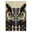 Creepy Halloween Owl Set 12x36 Canvas Wall Art