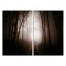 Creepy Forrest Set 20x30 Canvas Wall Art