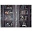 Haunted Library Compilation Set 20x30 Canvas Wall Art