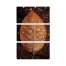 Split Brown Leaf Set 10x20 Canvas Wall Art