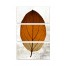 Split Fall Leaf Set 10x20 Canvas Wall Art