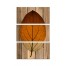 Split Leaf On Wood Set 10x20 Canvas Wall Art