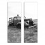 Abandonded Truck Field Crow Set 20x60 Canvas Wall Art