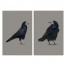 Crow Tan Set 24x36 Canvas Wall Art