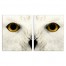 Muted Owl Face Set 20x24 Canvas Wall Art