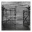 Haunted Painty Gate 24x24 Canvas Wall Art