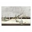 Tree Branch Menorah 20x30 Canvas Wall Art