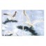 Seagull Art Set 24x30 Canvas Wall Art