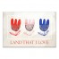 Tulip Land That I Love 11x14 Canvas Wall Art