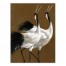 Dancing Cranes 30 x 40 Canvas Wall Art