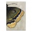 Monarch Right 30 x 40 Canvas Wall Art
